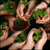 Volunteering by Zodiac Sign