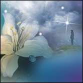 What is Karma?