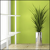 Improving Your Luck with  Feng Shui