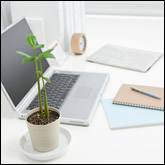 Home Office Feng Shui