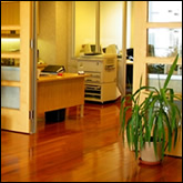 Office Feng Shui