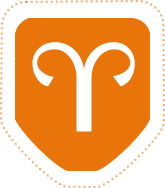 All About Aries