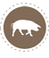 Pig glyph.