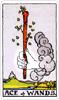 Ace of Wands
