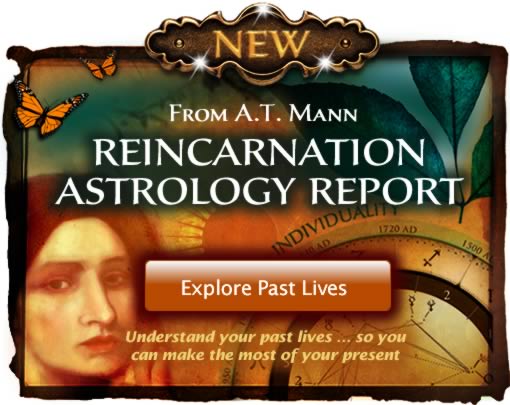 Reincarnation Report tarot.com Mann