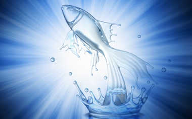 The Magic of Pisces