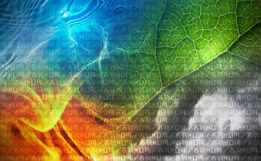 Astrology's Elements: Fire, Earth, Air and Water