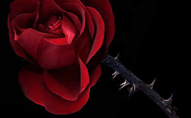 The Dark Side of Love