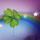 St. Patrick's Day 2010