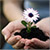 My Mother's Day Feng Shui Ritual