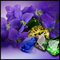 Flower Essences and Gems Report