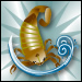 More about Scorpio