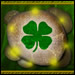 FREE Celtic Astrology Report