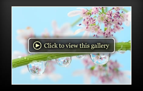 Spring Equinox 2010 Horoscopes