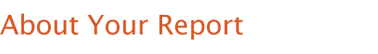 About Your Report
