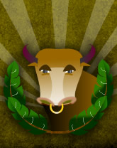 All About Taurus