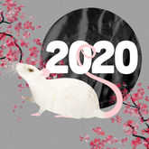chinese new year 2020