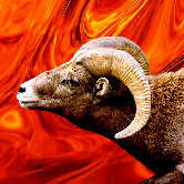 Sun in Aries