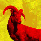 Sun in Aries