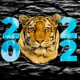 black water tiger