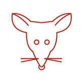 Chinese Zodiac Rabbit