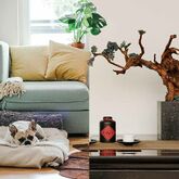 east vs west feng shui