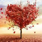 zodiac fall love horoscopes