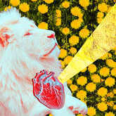 leo-lion