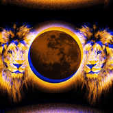 solar eclipse and leo lions