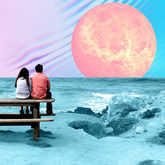 couple sitting on bench