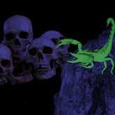 Sun in Scorpio