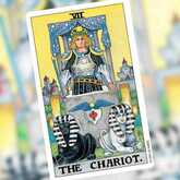 the chariot tarot card
