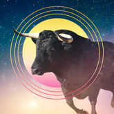 Sun in Taurus