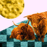 Sun in Taurus