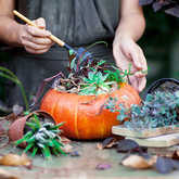 halloween pumpkins with zodiac symbols