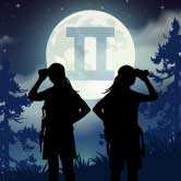 Moon in Gemini