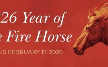 A horse in motion, cloaked in smoke, is shown against a red background.