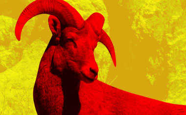 Your Aries Season Horoscope