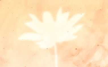 Reincarnation Questions