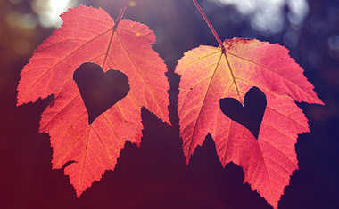 Read Your Sign's Fall Love Horoscope
