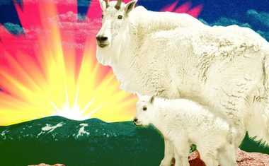 Sun in Capricorn: Ambitious, Responsible, Self-Sufficient