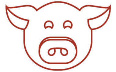 Chinese Zodiac: The Pig
