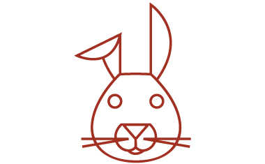 Chinese Zodiac: The Rabbit