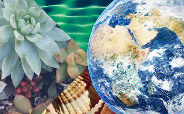 Reveal the Numerology Behind Earth Day