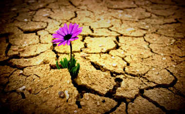 Mars-Pluto Aspects: Fighting for Your Life