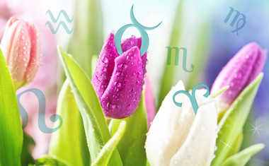 April Showers Bring May Flowers