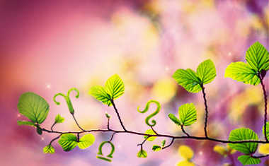 Spring Love Horoscopes 2014
