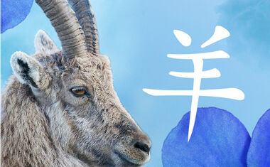 Chinese Zodiac Goat