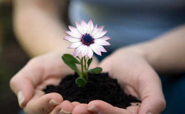 My Mother's Day Feng Shui Ritual