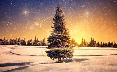 Transformational Holidays